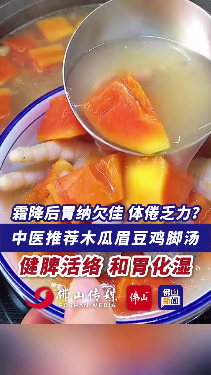 霜降后胃纳欠佳、体倦乏力?中医推荐木瓜眉豆鸡脚汤,健脾活络、和胃化湿!(编辑:王慧君;责编