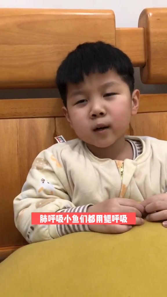 听说我不是最后一个知道，鲸鱼其实不是鱼！