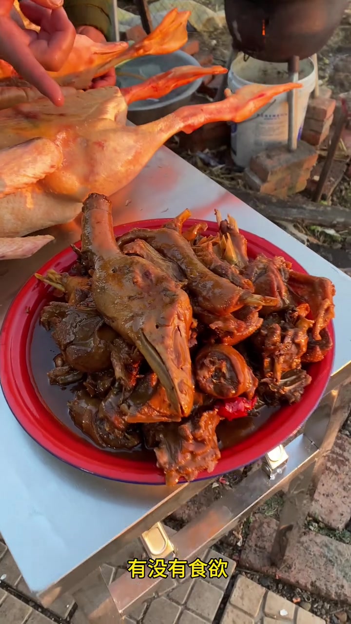 看看我今天炖的大鹅怎么样,嘎嘎香,纯东北农村散养笨大鹅,粮食喂养