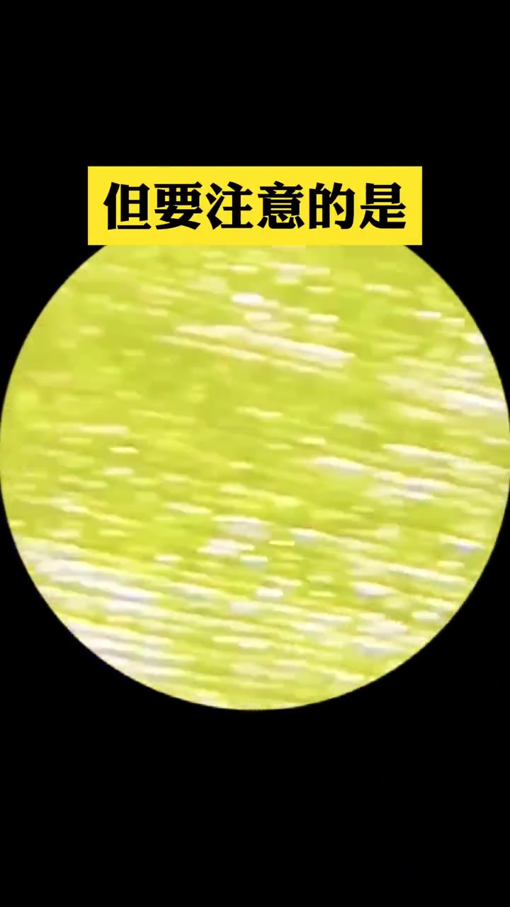 韭菜放大900倍，为啥男人吃的多