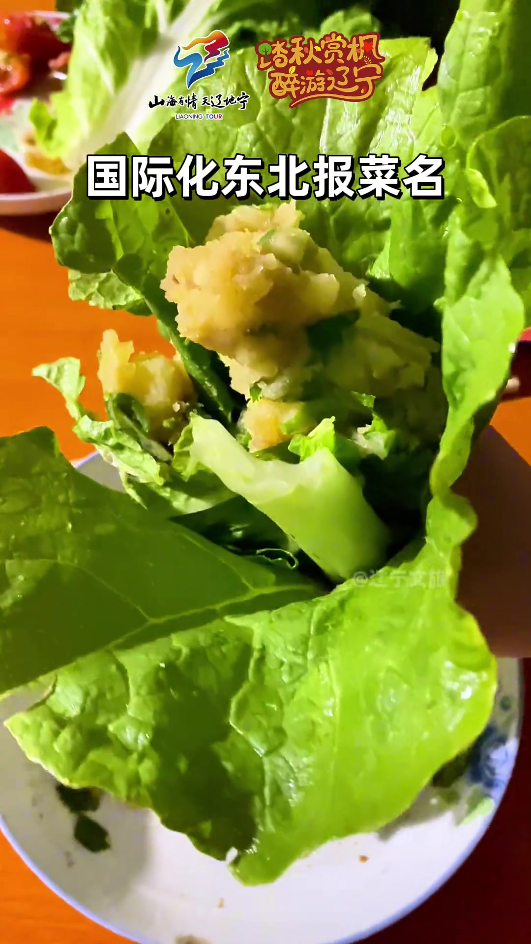 假如东北菜走向国际化!这也太费大米饭了哈哈哈(音频来源:)