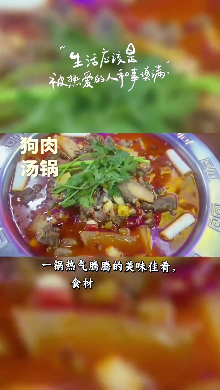 冷不冷,秋冬进补哦 狗肉汤锅 美食