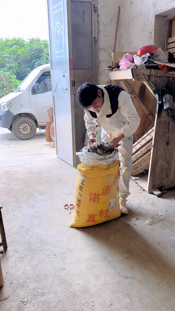 今天是10月27日,星期一,早安!重阳将至,风里已经有了冬天的味道了,这一年又接近了尾声了
