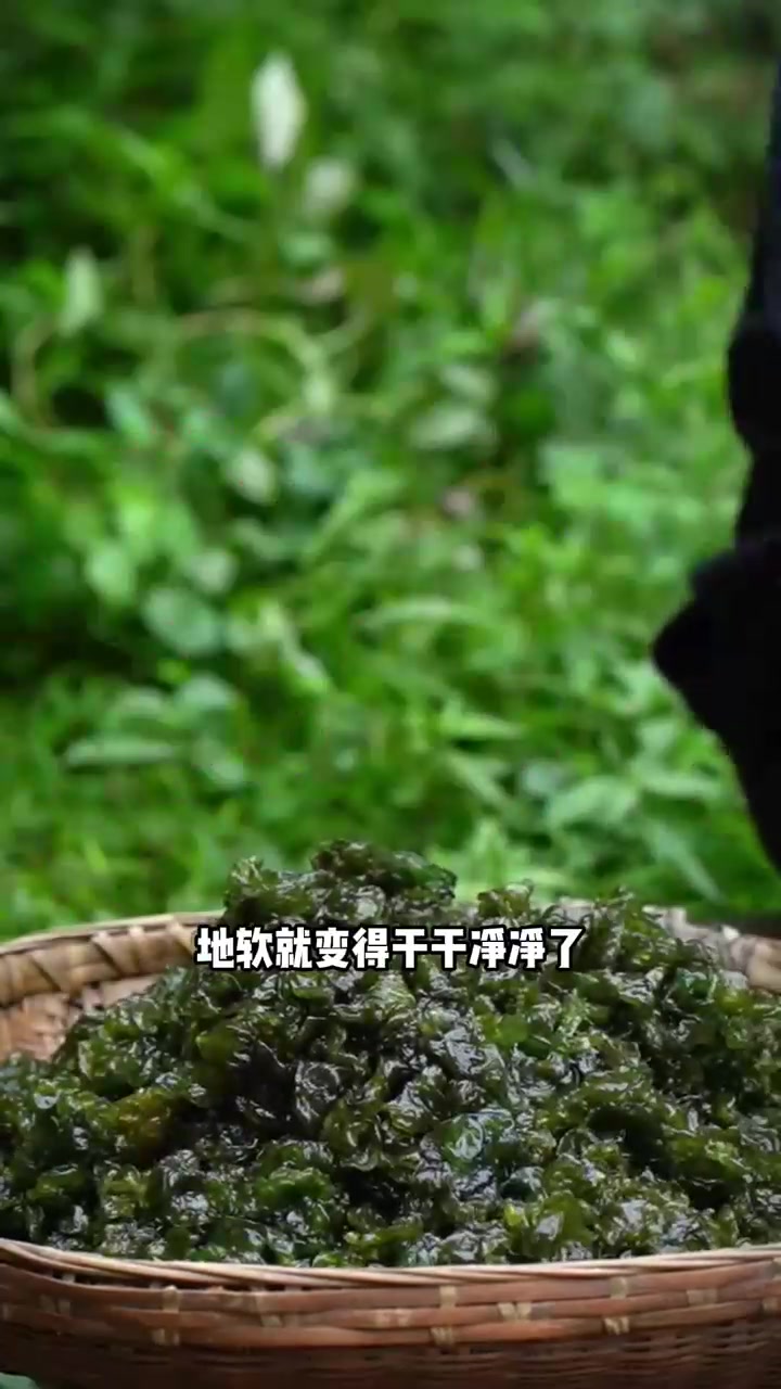被称为大地“软黄金”的野菜，你知道这是什么野菜吗？