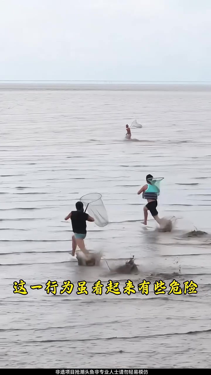 钱塘江抢潮头鱼