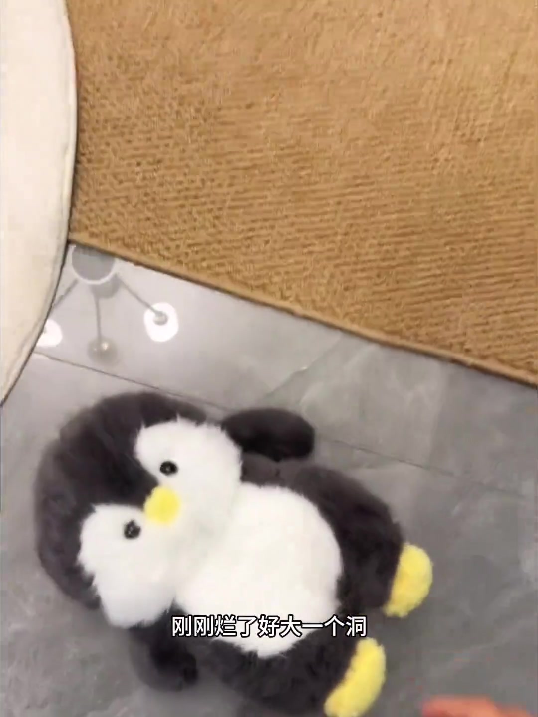 找了一上午的毛绒企鹅拖鞋原来在这儿