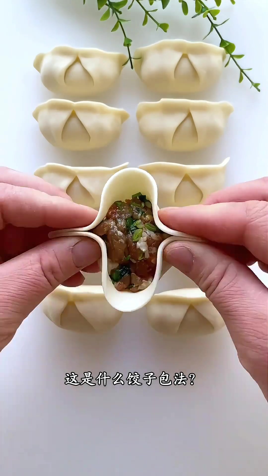 分享几种冬天包饺子的方法，你会几种呢？