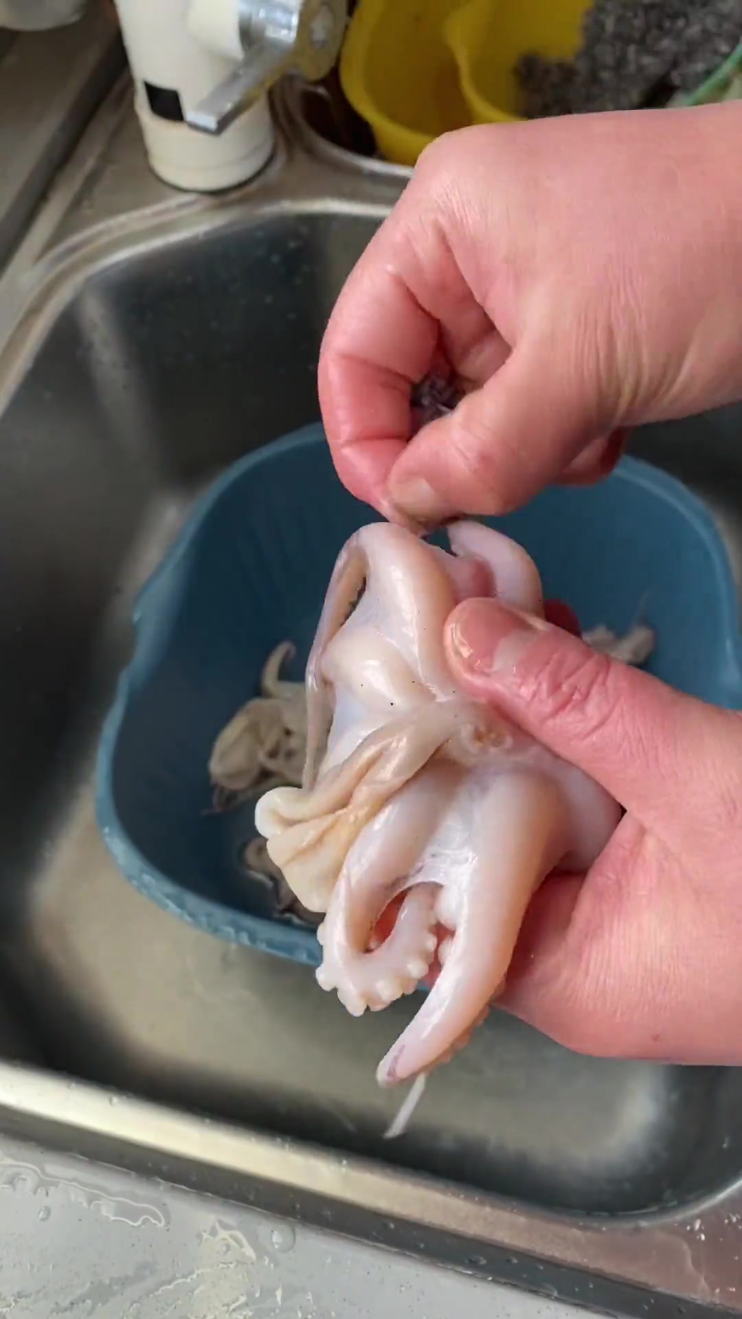 爆炒八爪鱼想要Q弹爽嫩不老，一定要注意这个细节，还有八爪鱼如何处理干净，看看我是怎么清洗的