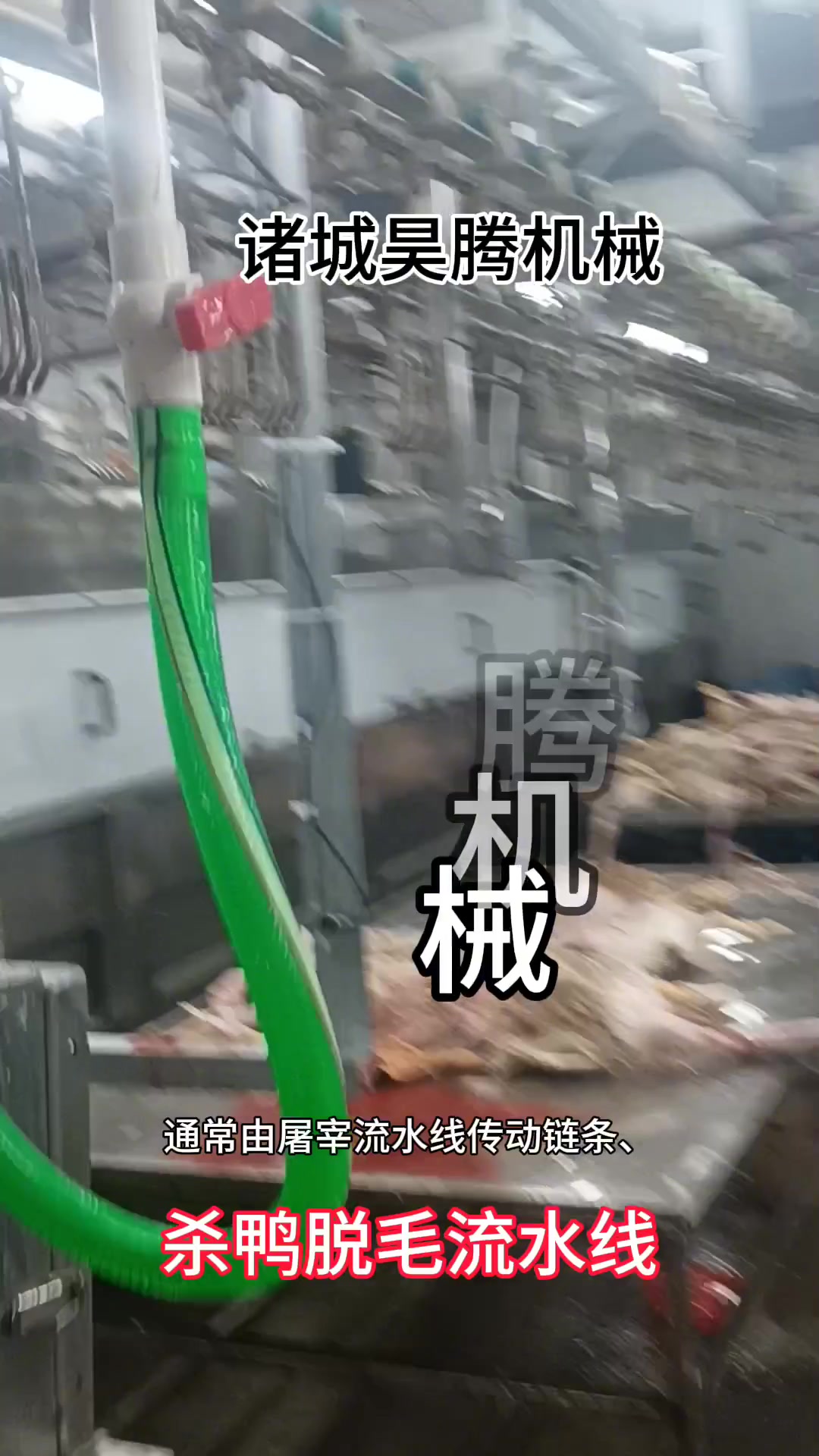 杀鸭脱毛流水线、浸腊设备的使用