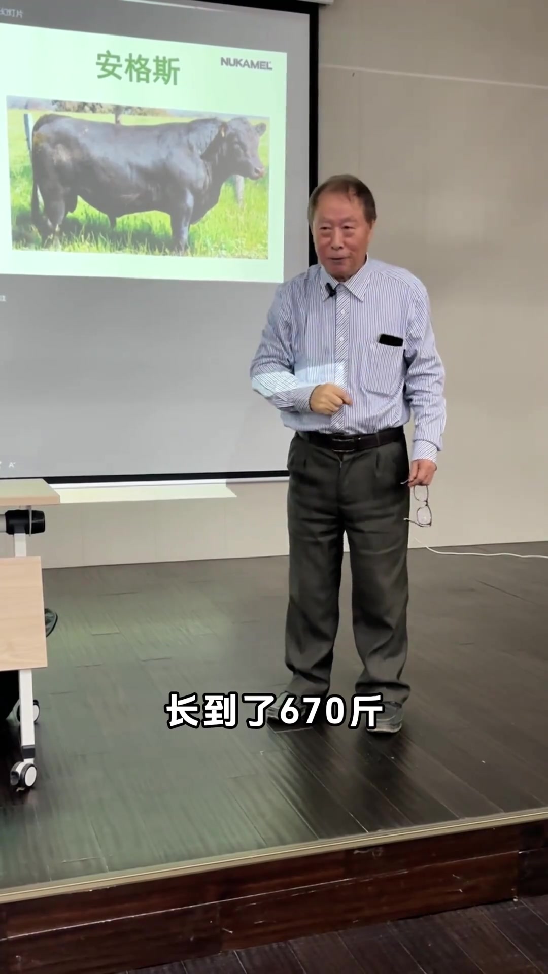 为啥安格斯牛是未来养殖的方向？它的优势在哪里？