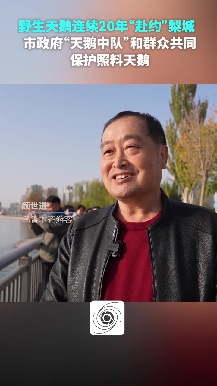 野生天鹅连续20年“赴约”梨城库尔勒，“天鹅中队”和群众共同守护