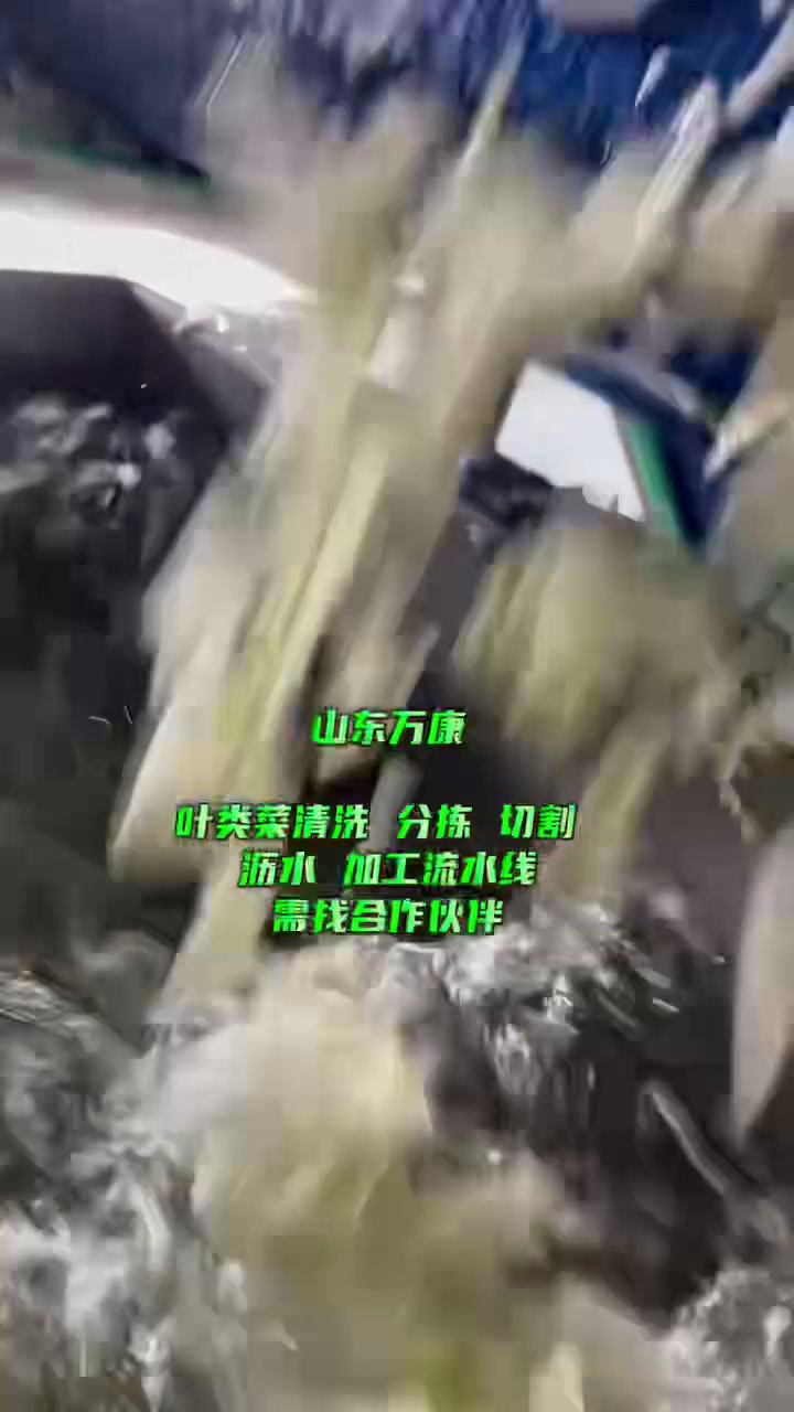 气泡清洗机,净菜加工设备