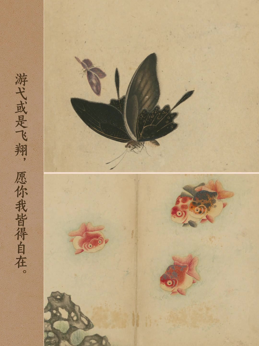 自然可爱，万物有灵。清代李文的《鱼蝶图册》，好似一封穿越百年的情书，把金鱼的萌态与蝴蝶的雅