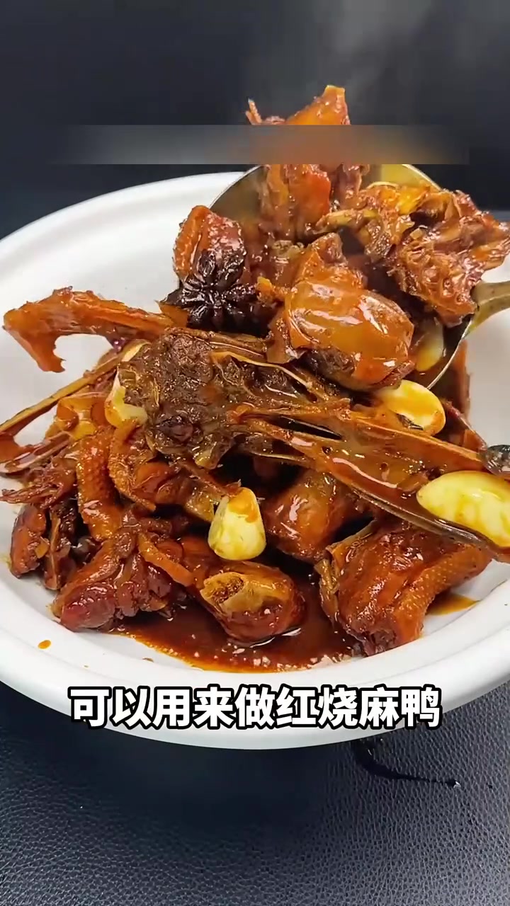 带你认识不一样的品种鸭，有点鸭肉还不能吃  鸭子   保护动物