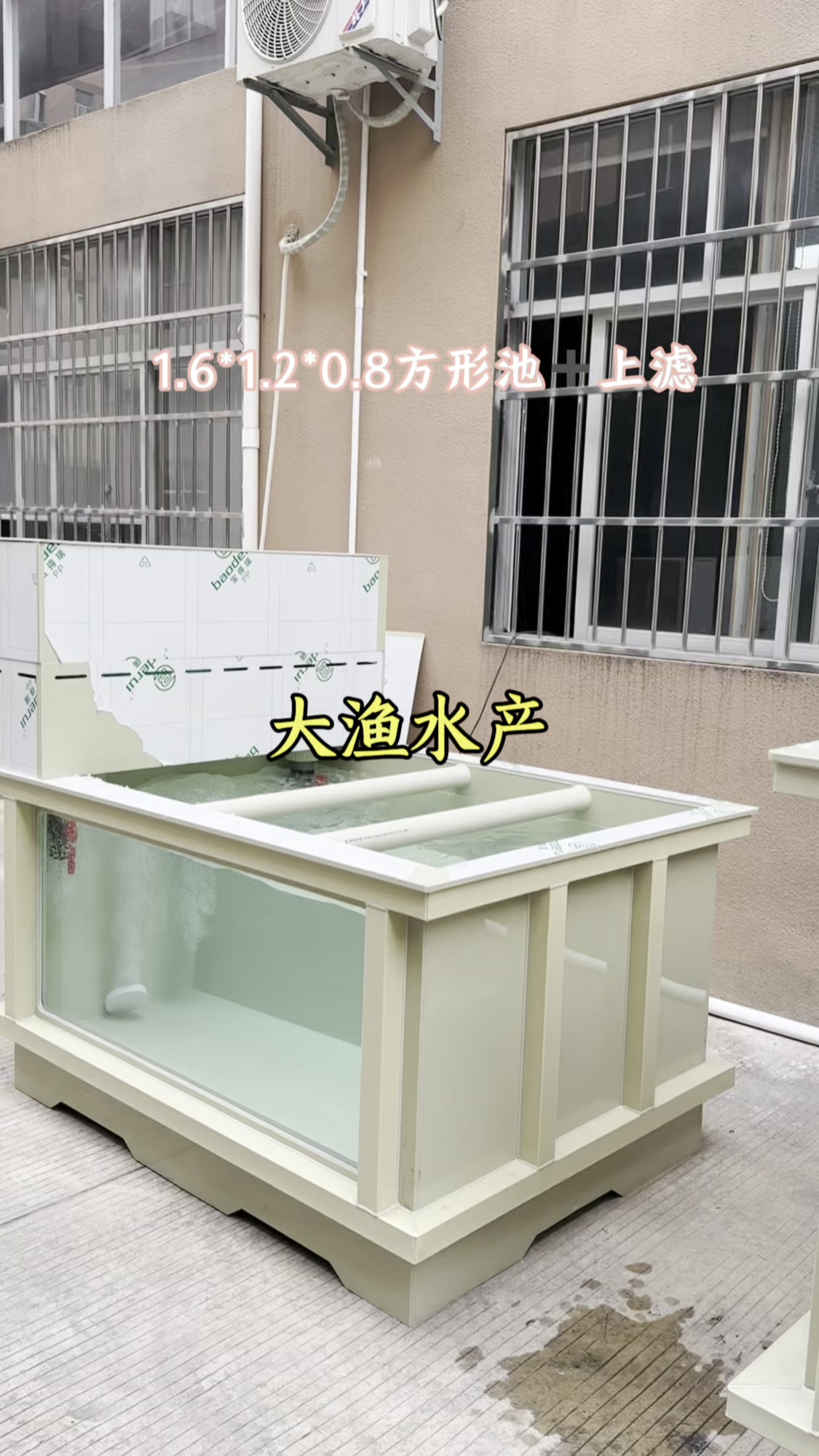 1.6*1.2*0.8小型方形池+上滤#养鱼人#鱼缸#专业生产厂家