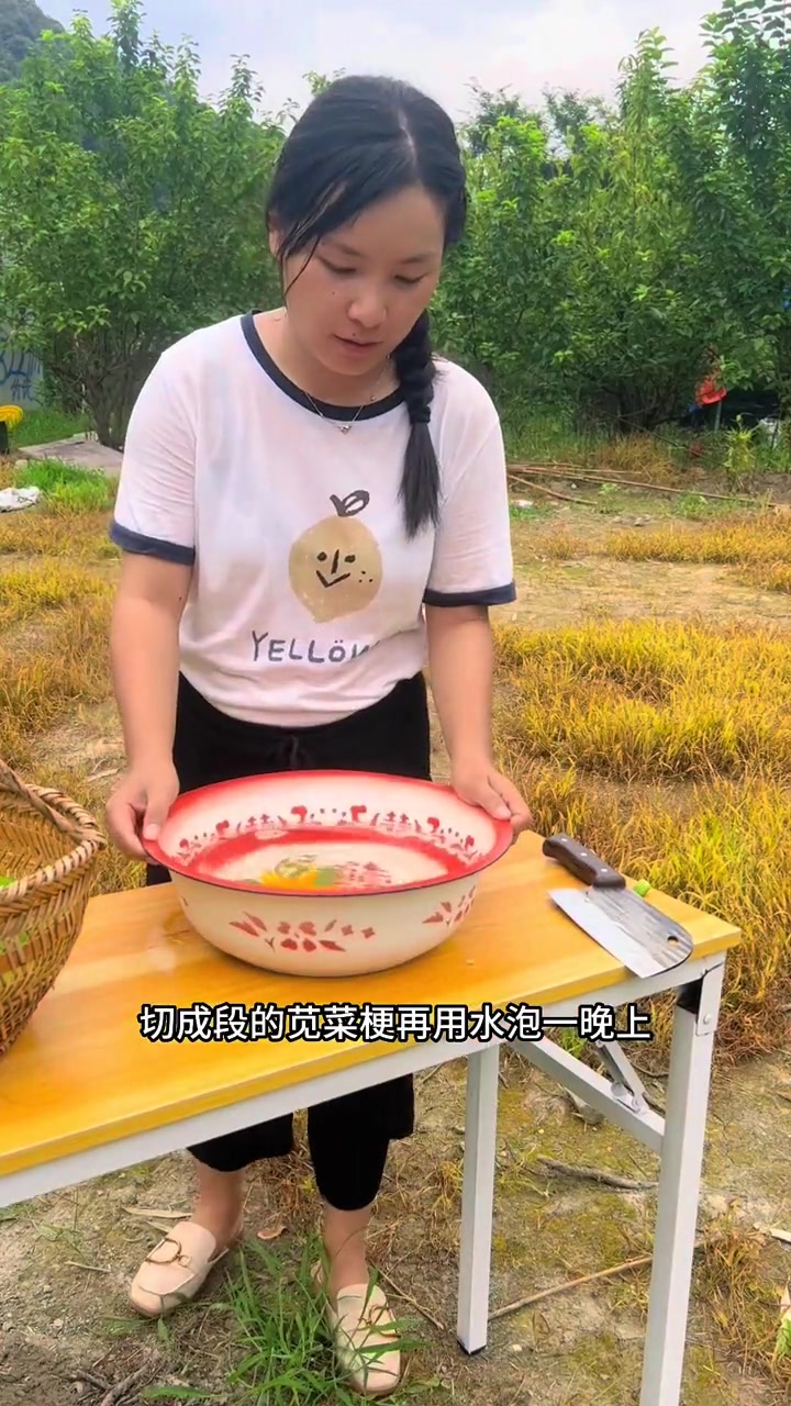 霉苋菜梗是浙江传统菜肴，记录制作过程，每个地方做法不同，你们哪里吃苋菜梗吗？