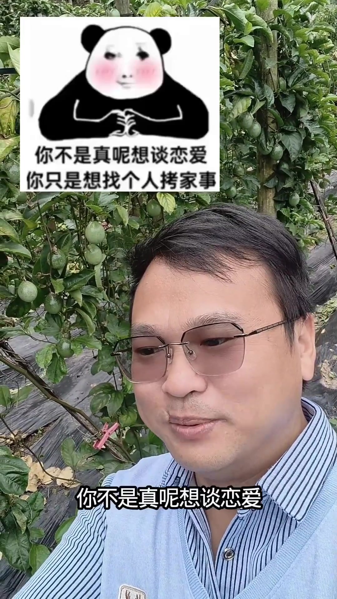 让人捧腹的云南方言表情包，你收了吗？