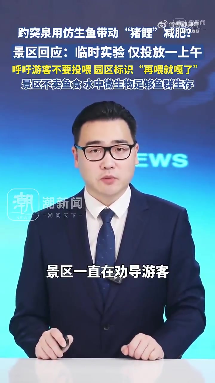 济南趵突泉用北大仿生鱼带动“猪鲤”减肥?网友戏称喜提“减肥私教”。10月30日,趵突泉景区