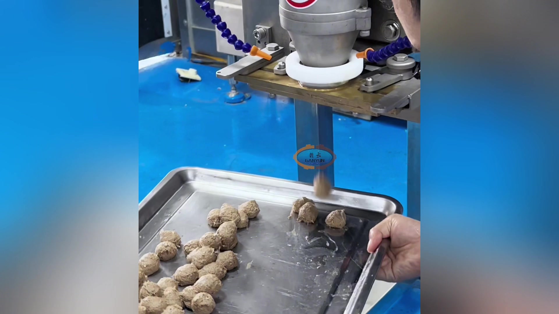 宠物丸子肉丸自动成型机