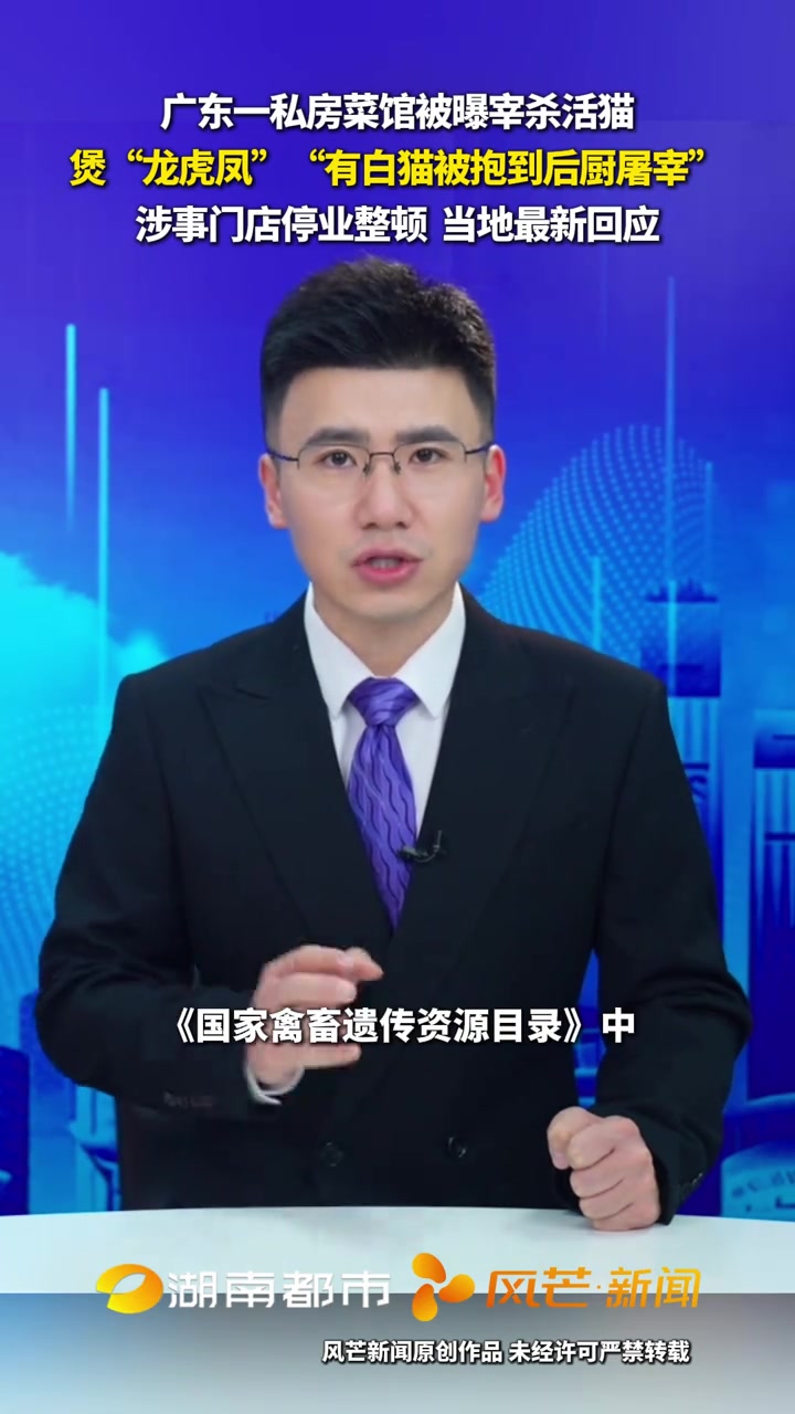 广东一私房菜馆被曝宰杀活猫 煲“龙虎凤”“有白猫被抱到后厨屠宰”涉事门店停业整顿 当地最新