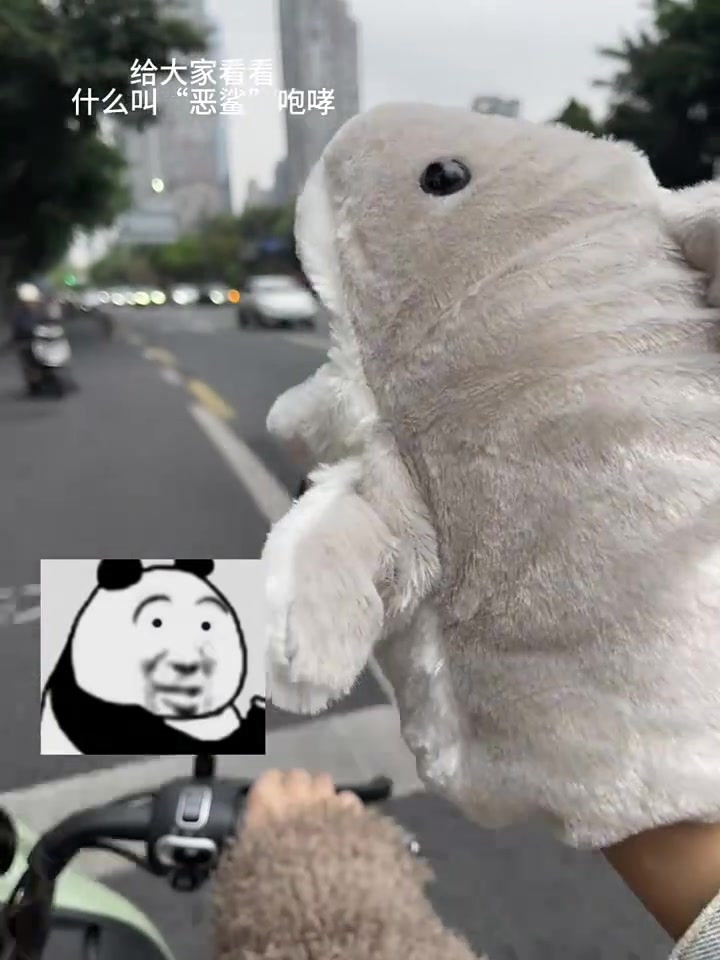 小鲨鱼:我要咬人咯