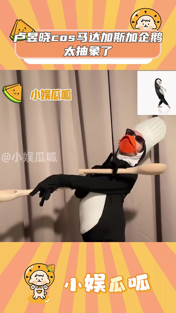 卢昱晓cos马达加斯加企鹅太抽象了