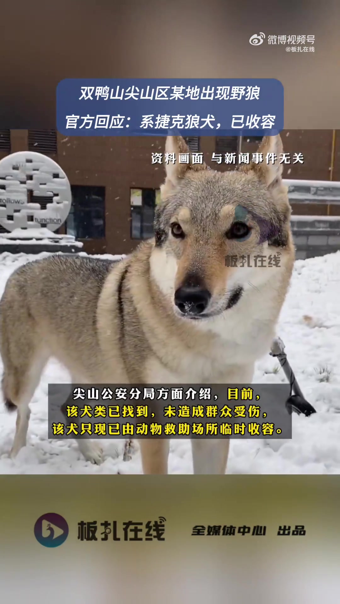 11月2日,黑龙江双鸭山市尖山区政府办微信公众号发布尖山公安分局消息称,近日,网上流传“尖