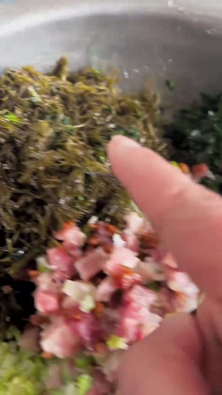 明天早上海麻线，海绿菜，钉螺