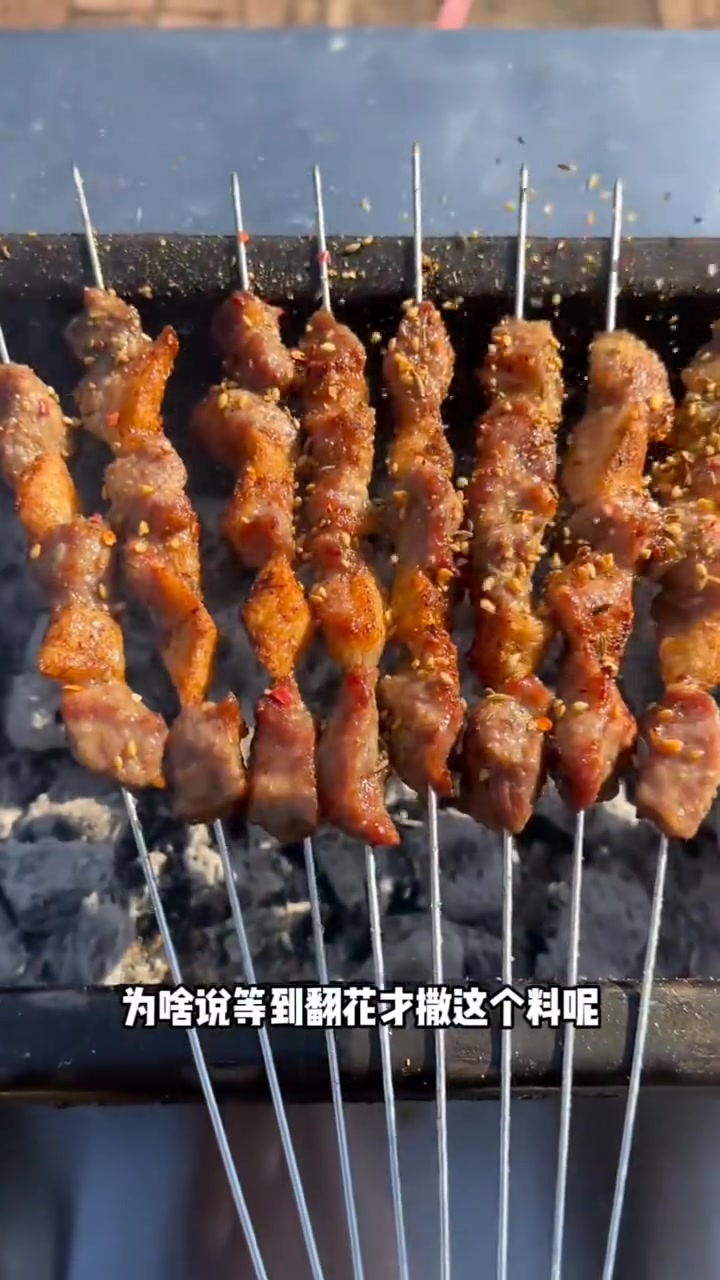 滋滋冒油的炭烤猪肉串！