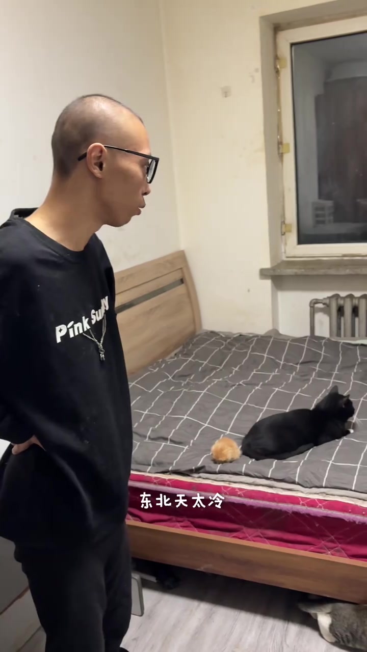 自从领养了哞哞，我就决定再也不购买宠物了！大哥：物质上我养它们，精神上它们养我