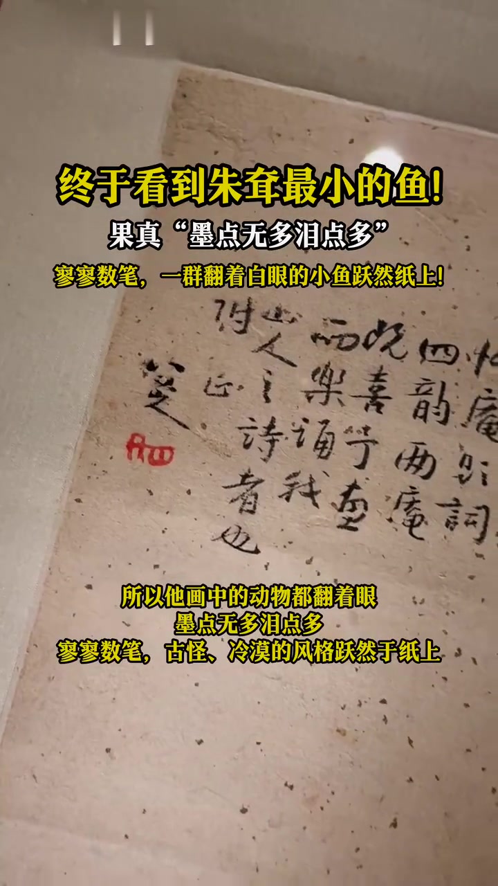 终于看到朱耷笔下最小的鱼，墨点无多泪点多！