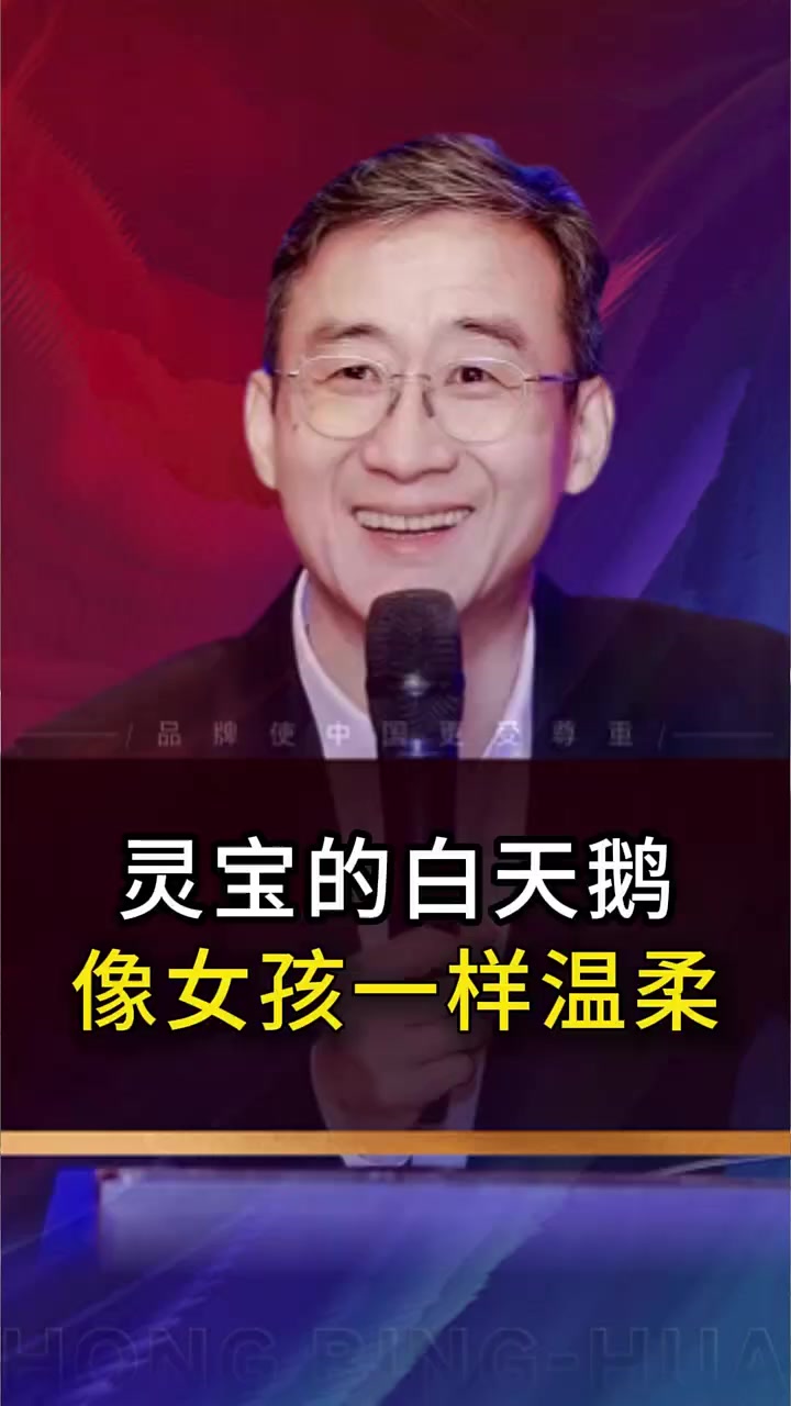 灵宝的白天鹅像女孩子一样温柔 灵宝 灵宝苹果 天下第一关品尝中华甜