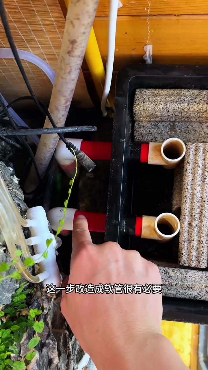 把村里不要的老石缸改造成假山生态鱼池养鱼！教程来了