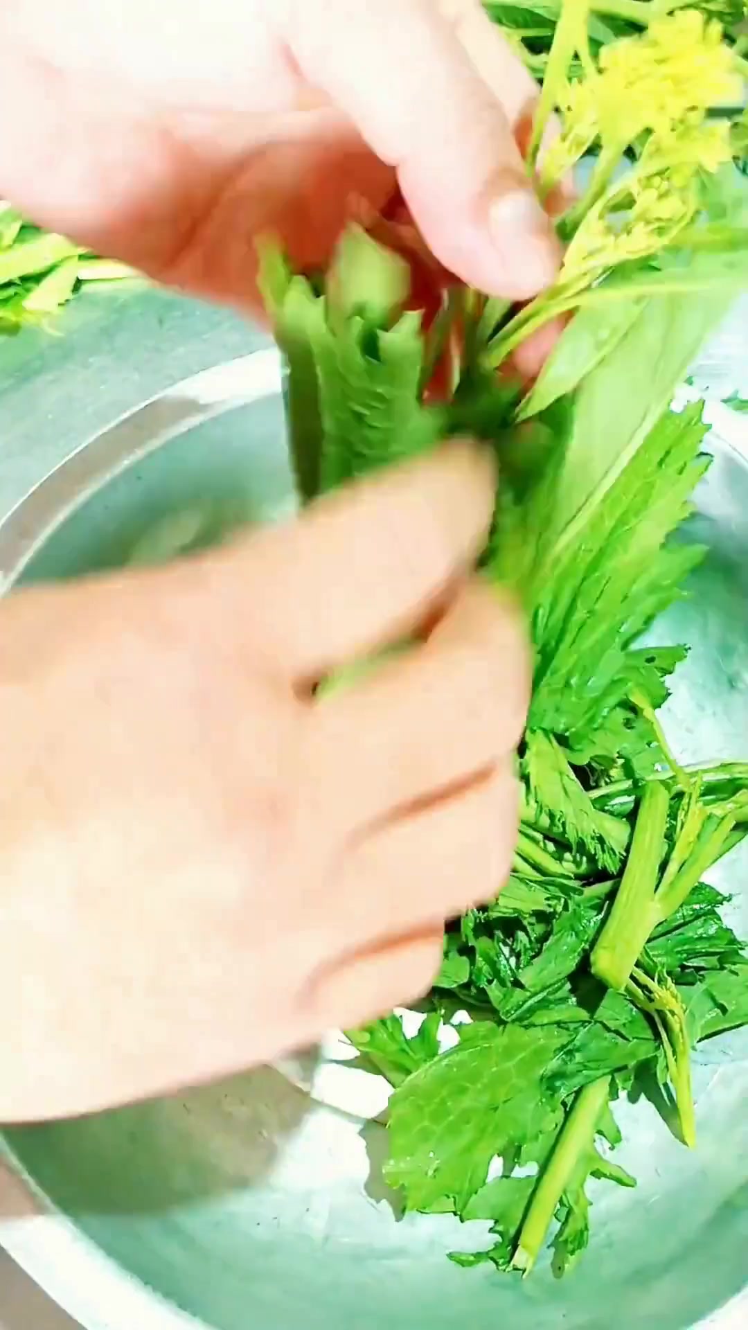 德宏特色傣味酸扒菜，美食分享