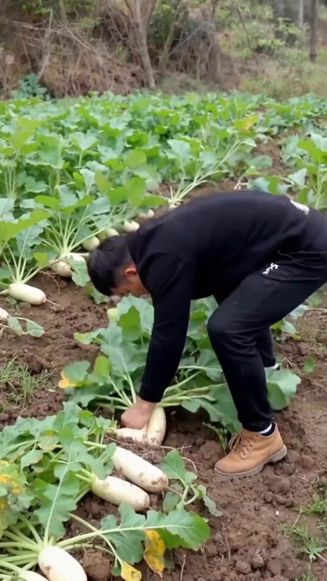 萝卜炖筒骨汤，适合冬天喝的美味佳肴