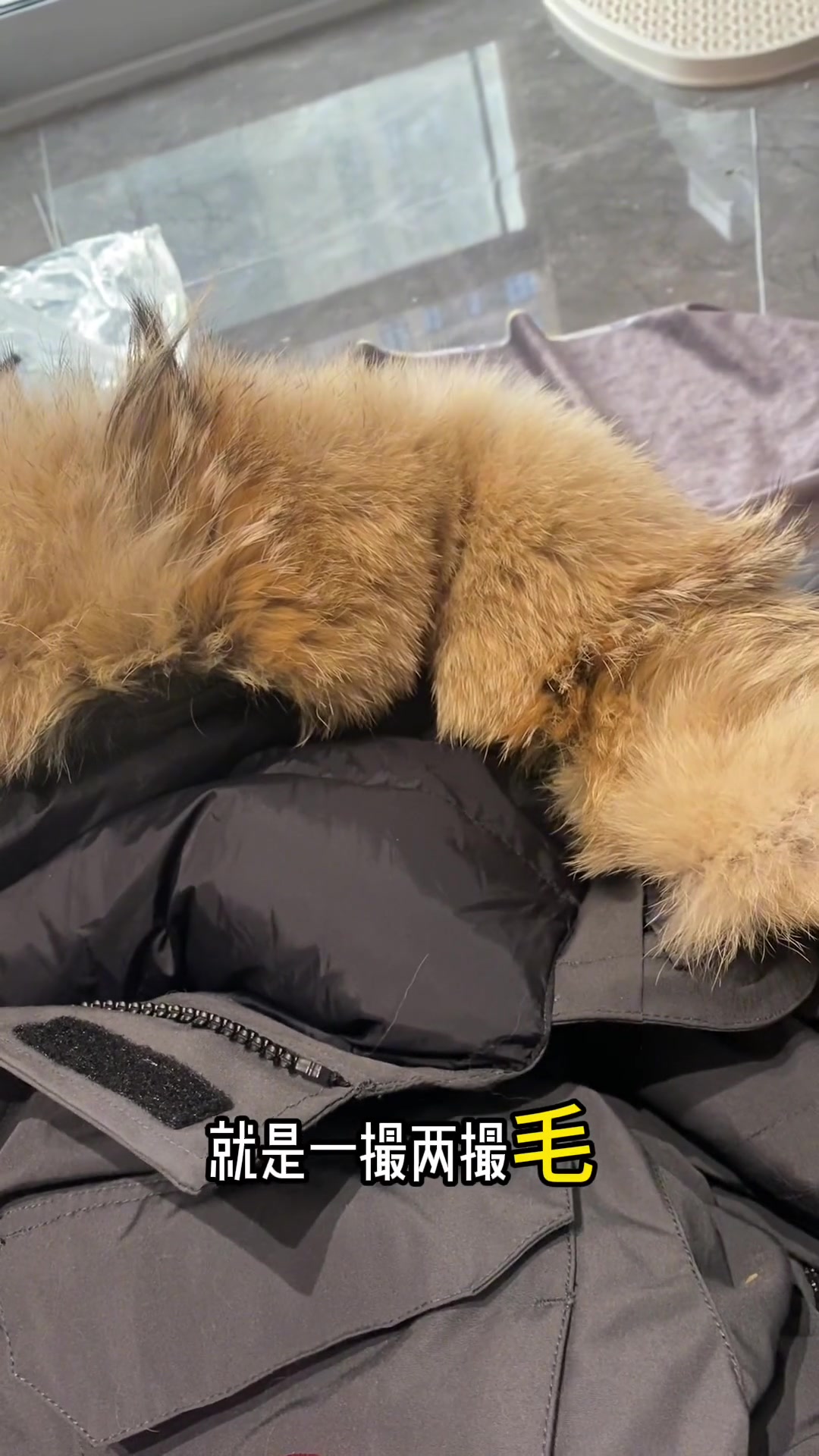 十件大鹅九件假,想必各位看过正品长什么样