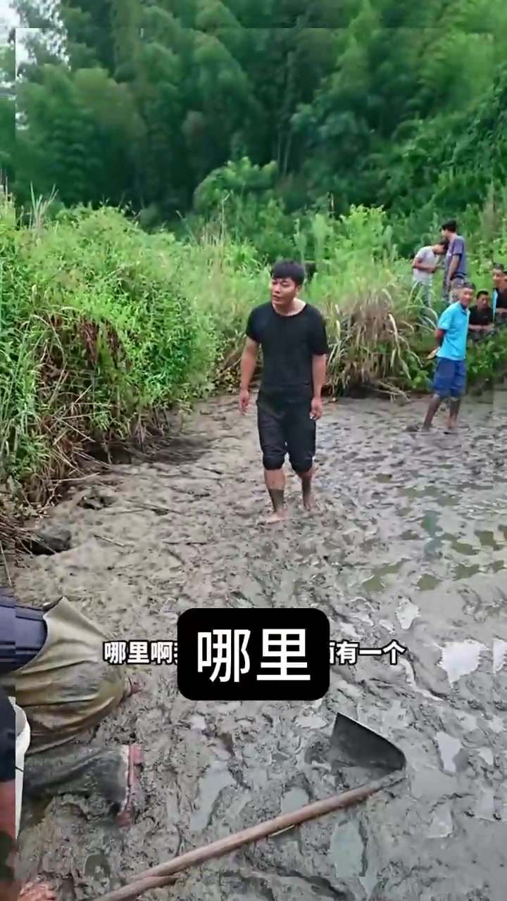 8旬爷爷养了10多年的鱼塘，为何急着卖