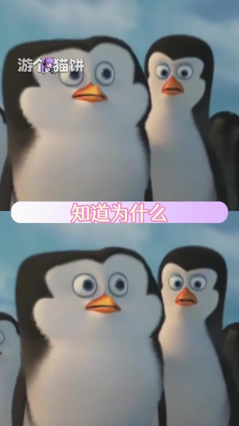 高雅人士跟我们马达加斯加企鹅是没有关系的哦 高雅人士 动画片 马达加斯加企鹅