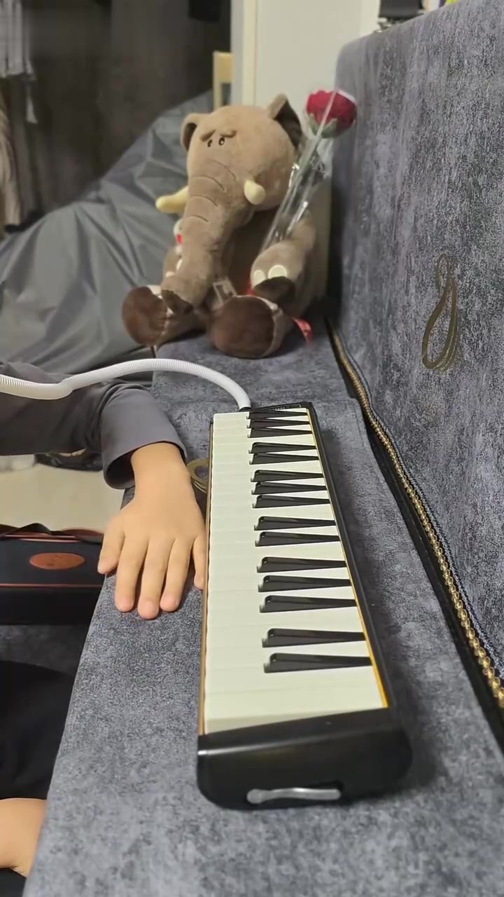 大鱼口风琴版，希望喜欢，多多点赞，过一百就有拼豆