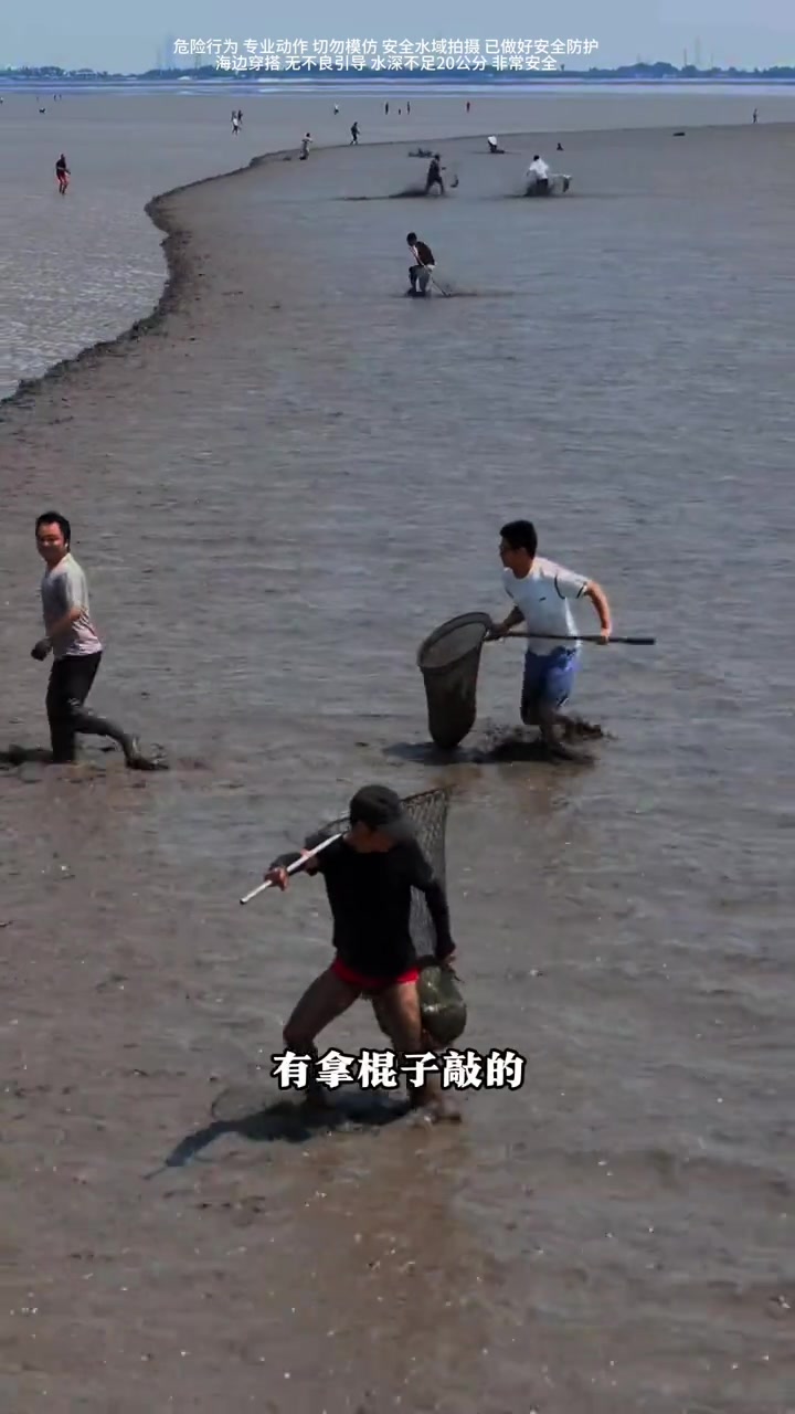钱塘江1200一斤的鳗鱼泛滥了，淡水里面全是海鱼？