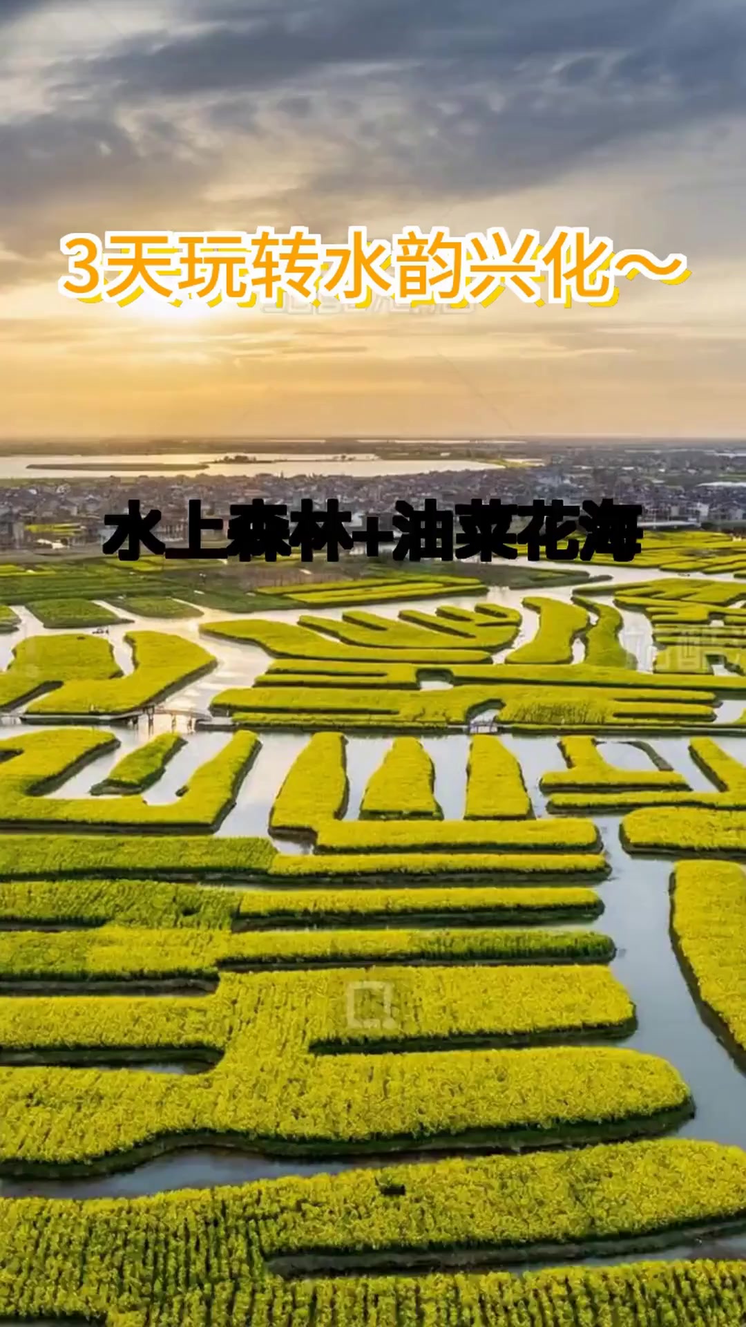 兴化3日游必打卡！溱湖湿地+千垛花海，小众秘境全攻略