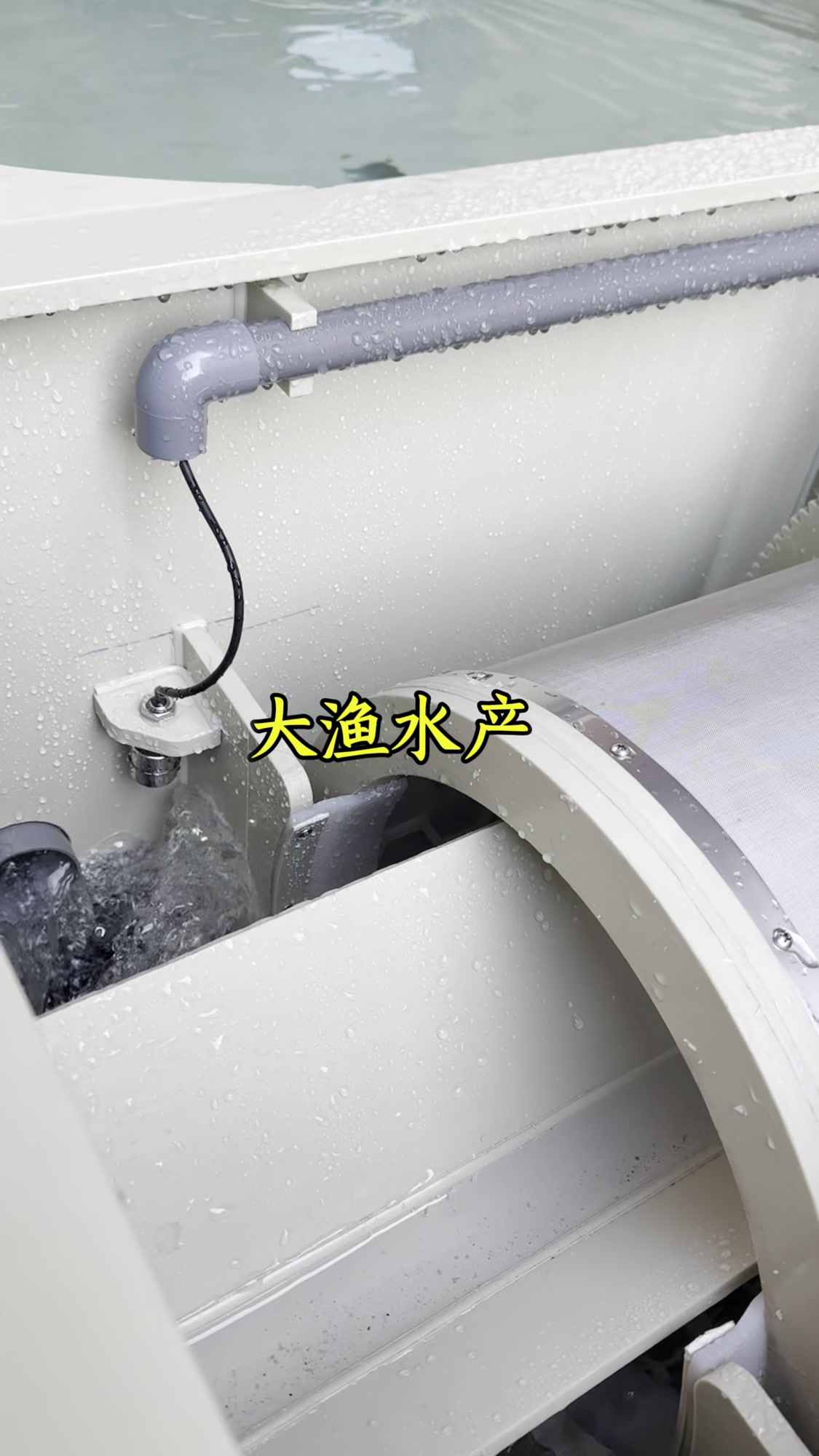3*2*1内圆角方形池+侧滤#养鱼人#鱼缸过滤#源头实力厂家