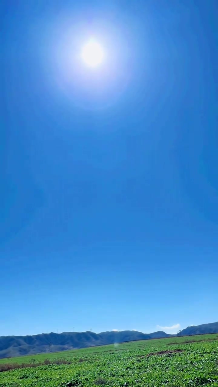 带孩子们去地里拔菠菜，老公说拔太多吃不完，但我有自己的想法