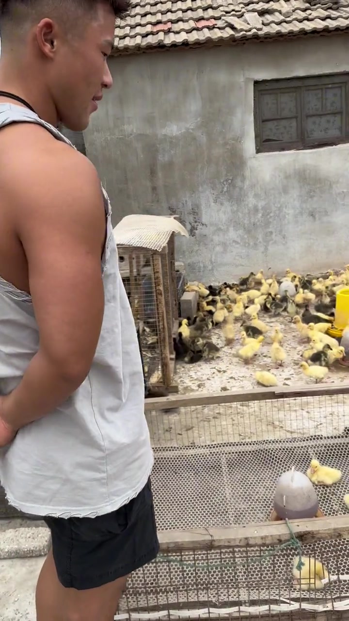 别人回家带大鱼大肉，我回家带小鸡，小鸭，小鹅，从小培养