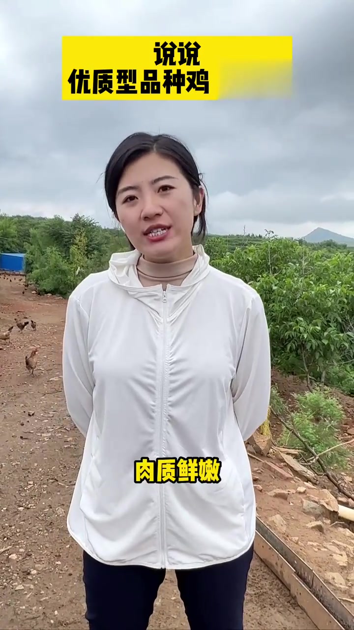 说说优质型品种鸡