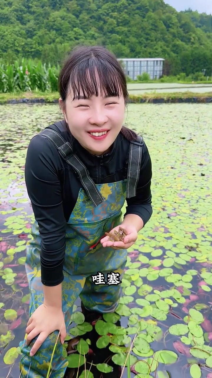 很多人没有吃过甚至没有见过莼菜