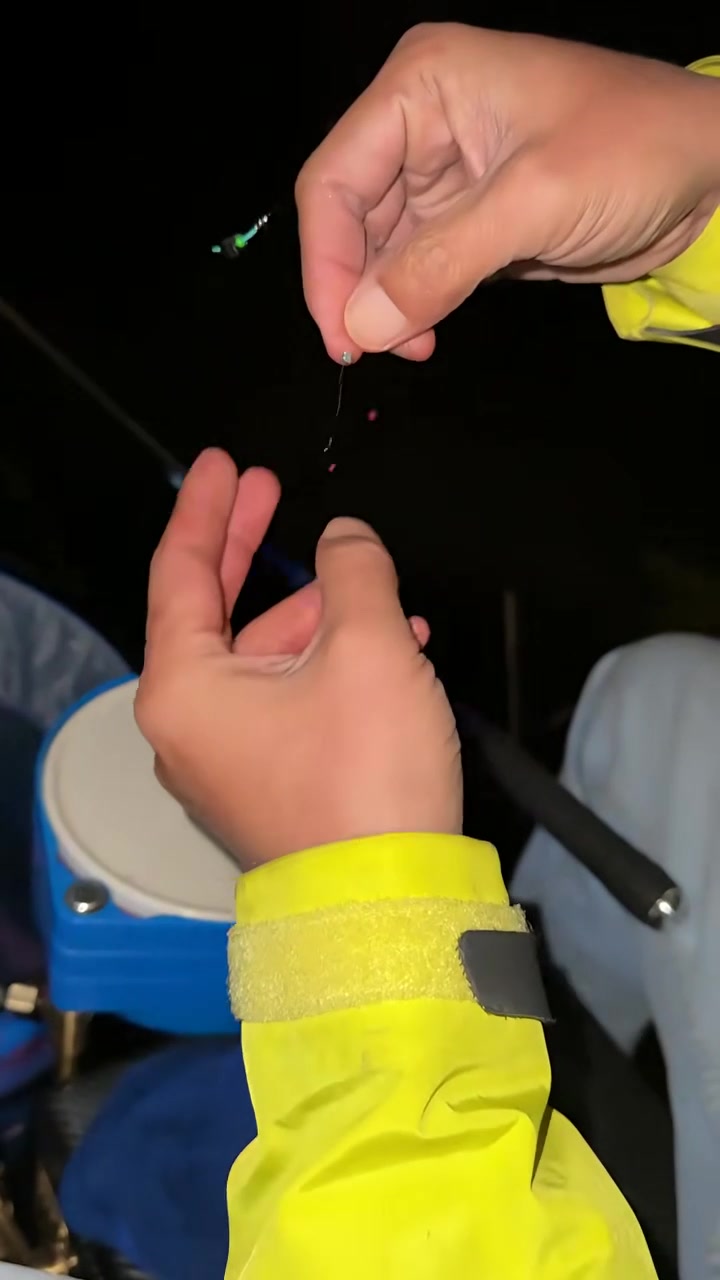 宁静夜晚，畅快夜钓鲫鱼！