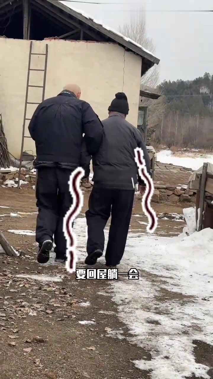 谁能给东北人解释下，为啥一下雪就爱吃大鹅？