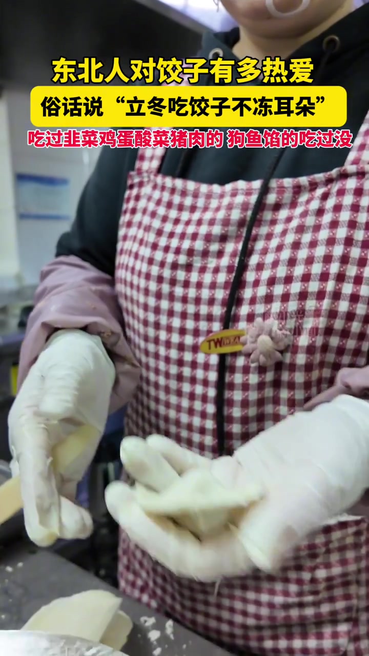 东北人对饺子有多热爱,俗话说“立冬吃饺子不冻耳朵”,吃过韭菜鸡蛋酸菜猪肉的,狗鱼馅的吃过没
