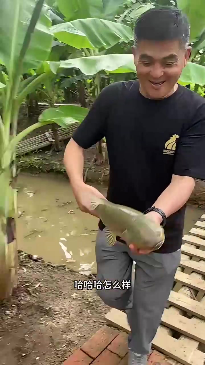 炮老弟带着老朱跟廖何宾逮鱼去，晚上炸鱼吃，这鱼直往外蹦